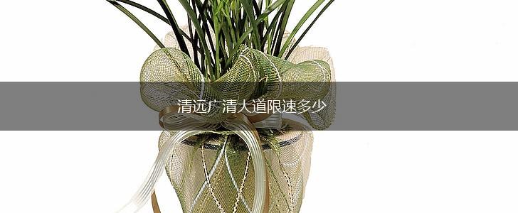 清远广清大道限速多少,第1张