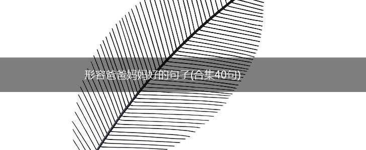 形容爸爸妈妈好的句子(合集40句),第1张