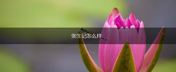 张生记怎么样,第1张