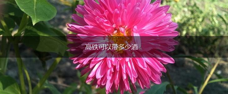 高铁可以带多少酒,第1张