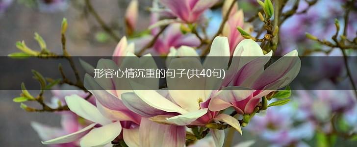 形容心情沉重的句子(共40句),第1张