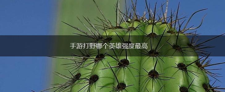 手游打野哪个英雄强度最高,第1张