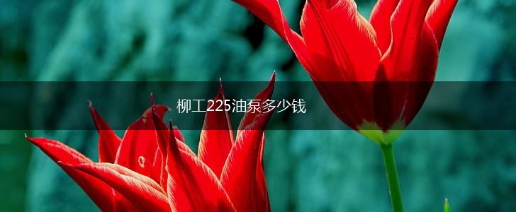 柳工225油泵多少钱,第1张