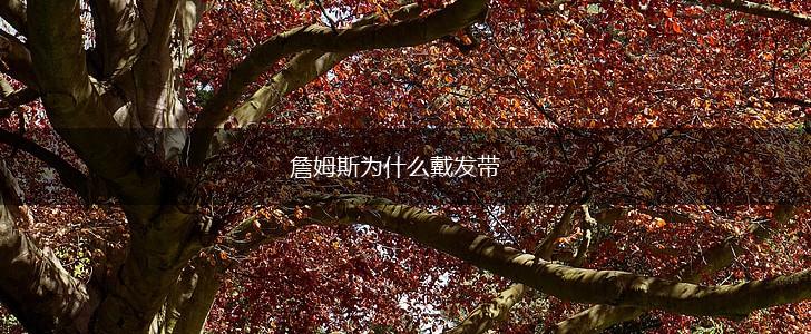 詹姆斯为什么戴发带,第1张