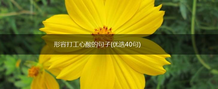 形容打工心酸的句子(优选40句),第1张