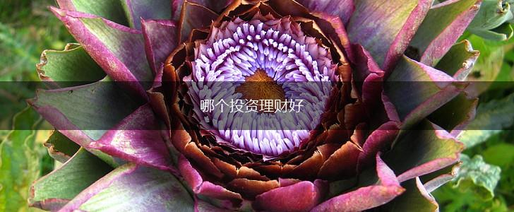 哪个投资理财好,第1张