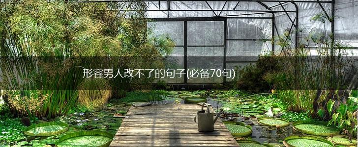 形容男人改不了的句子(必备70句),第1张