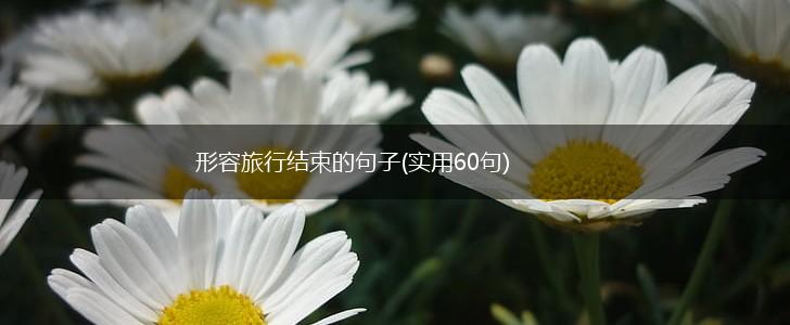形容旅行结束的句子(实用60句),第1张