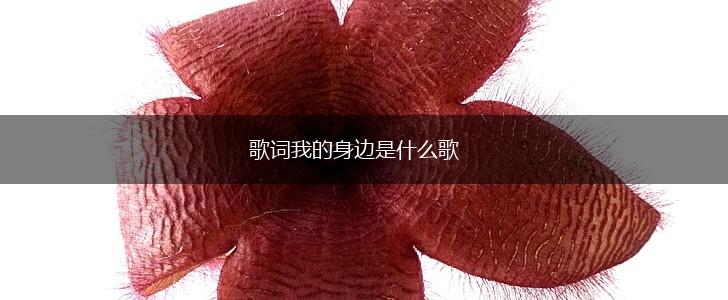歌词我的身边是什么歌,第1张