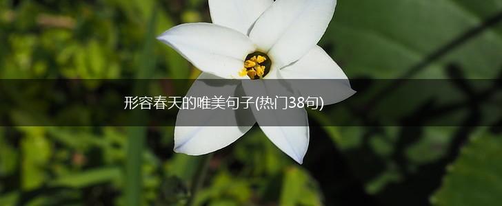 形容春天的唯美句子(热门38句),第1张
