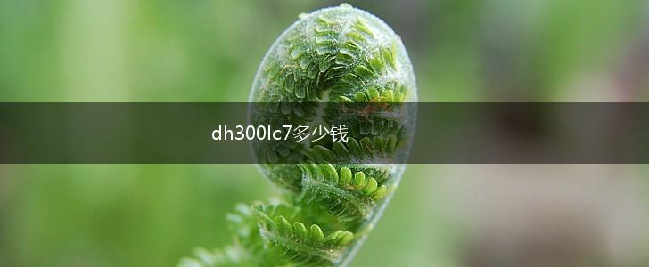 dh300lc7多少钱,第1张