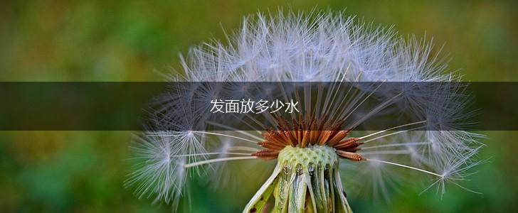 发面放多少水,第1张