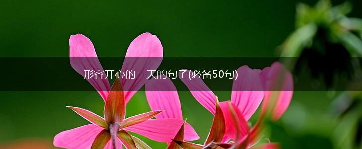 形容开心的一天的句子(必备50句),第1张
