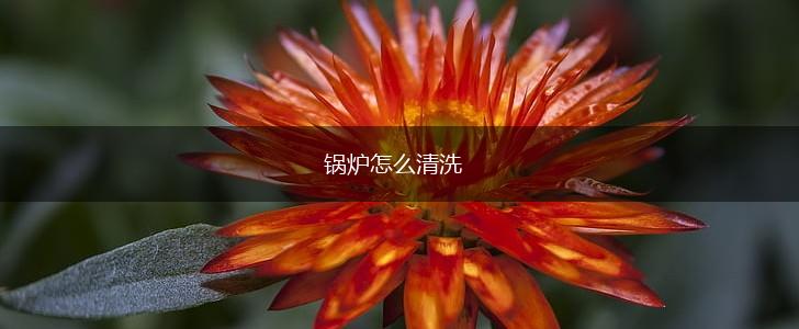 锅炉怎么清洗,第1张