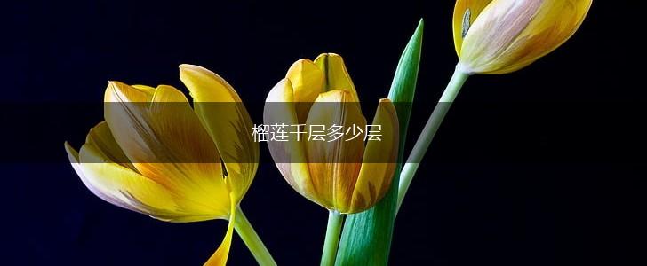 榴莲千层多少层,第1张