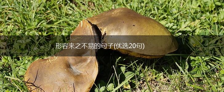 形容来之不易的句子(优选20句),第1张