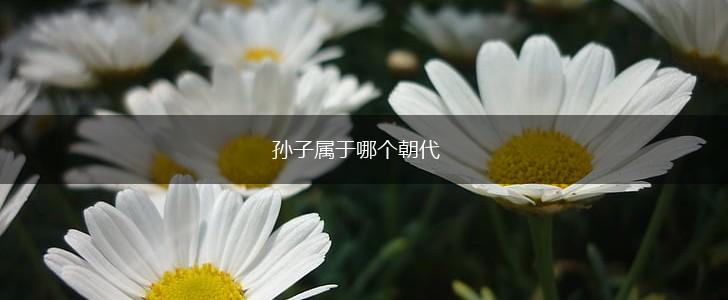孙子属于哪个朝代,第1张
