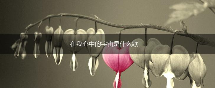 在我心中的宇宙是什么歌,第1张