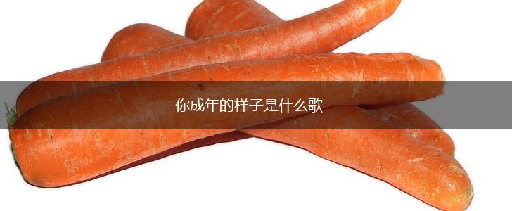 你成年的样子是什么歌,第1张