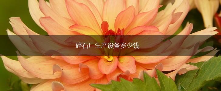 碎石厂生产设备多少钱,第1张