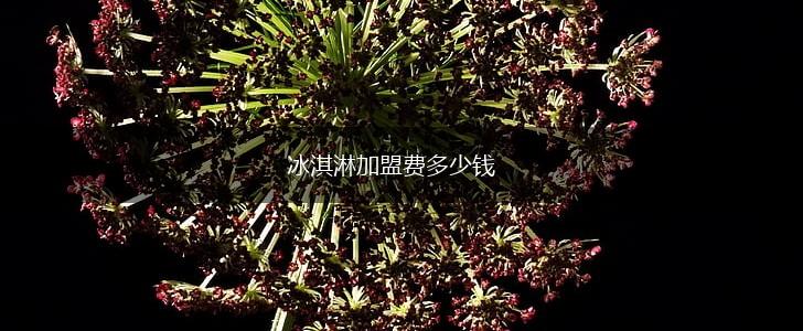 冰淇淋加盟费多少钱,第1张
