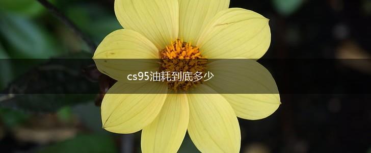 cs95油耗到底多少,第1张