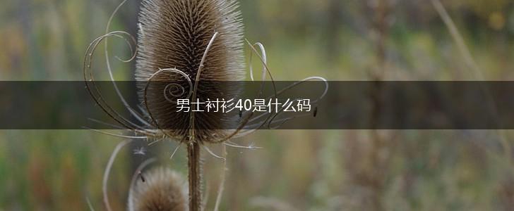 男士衬衫40是什么码,第1张