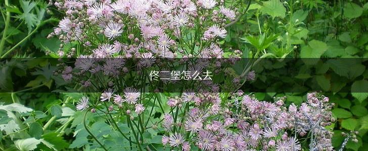 佟二堡怎么去,第1张