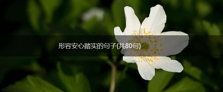 形容安心踏实的句子(共80句),第1张