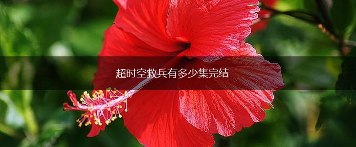 超时空救兵有多少集完结,第1张
