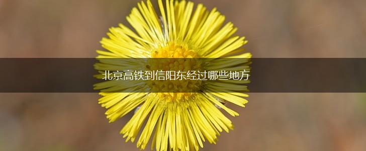 北京高铁到信阳东经过哪些地方,第1张