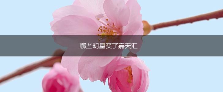 哪些明星买了嘉天汇,第1张