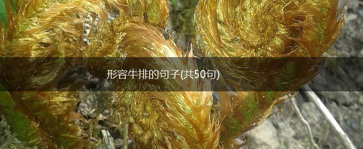 形容牛排的句子(共50句),第1张
