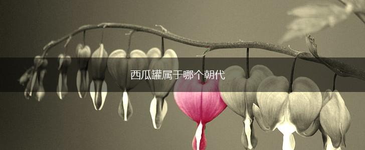 西瓜罐属于哪个朝代,第1张