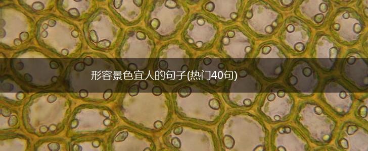形容景色宜人的句子(热门40句),第1张
