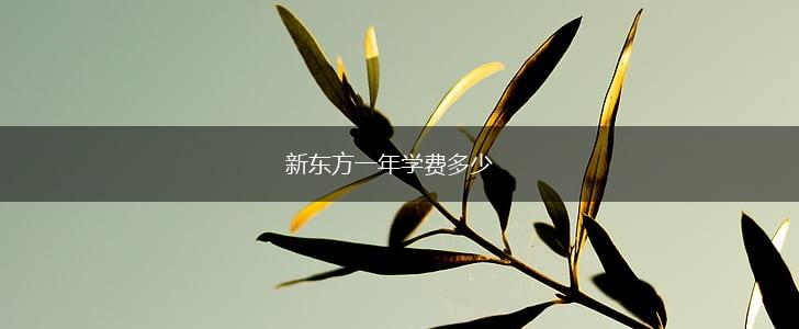 新东方一年学费多少,第1张
