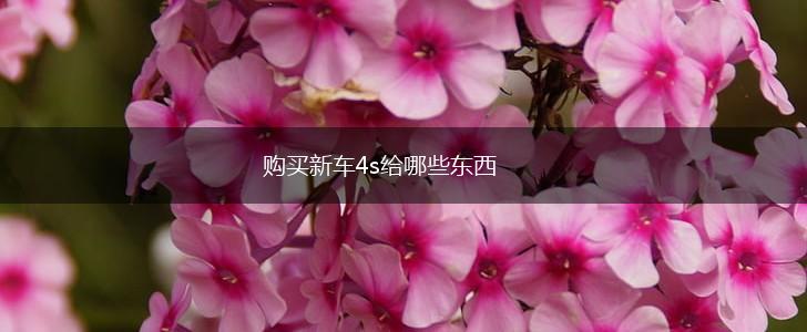购买新车4s给哪些东西,第1张