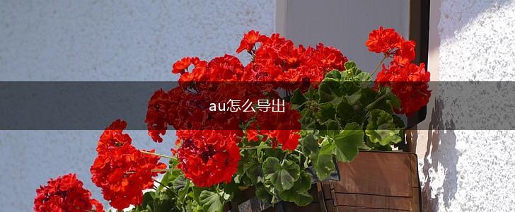au怎么导出,第1张