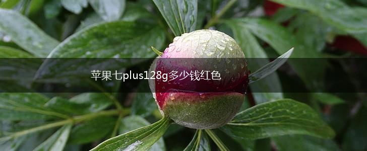 苹果七plus128g多少钱红色,第1张