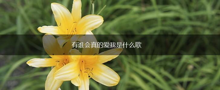 有谁会真的爱我是什么歌,第1张