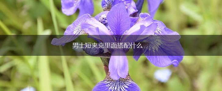 男士短夹克里面搭配什么,第1张