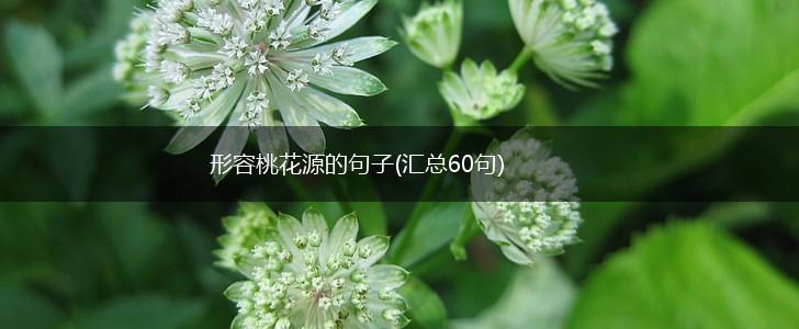 形容桃花源的句子(汇总60句),第1张