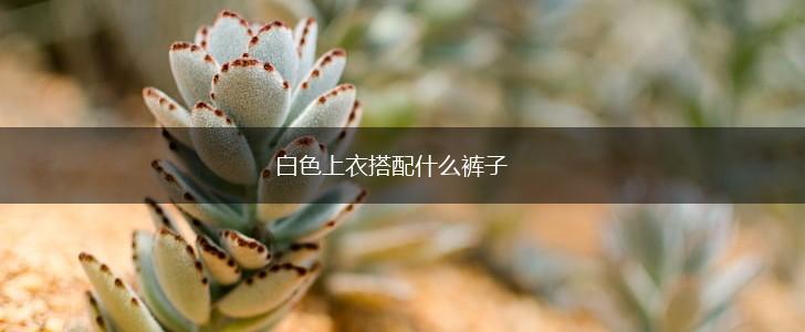 白色上衣搭配什么裤子,第1张