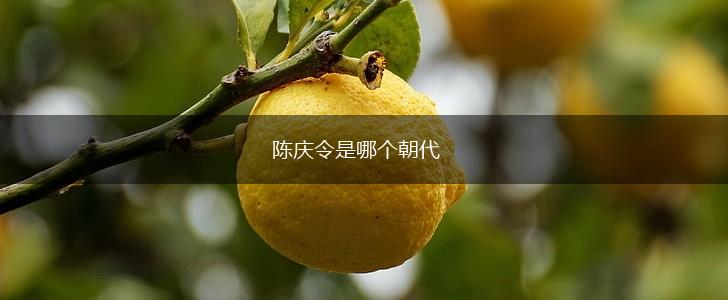 陈庆令是哪个朝代,第1张