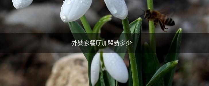 外婆家餐厅加盟费多少,第1张