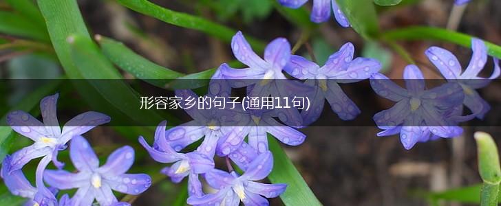 形容家乡的句子(通用11句),第1张