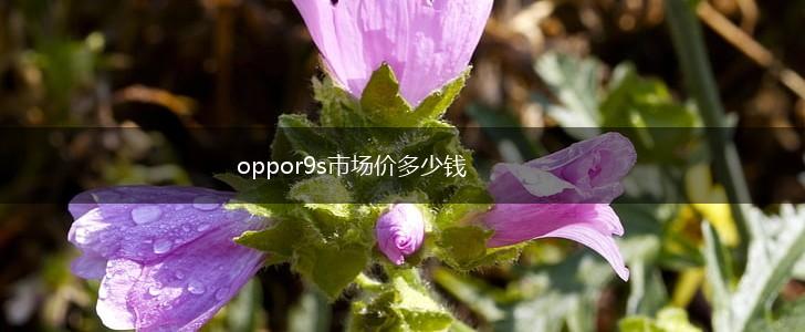 oppor9s市场价多少钱,第1张