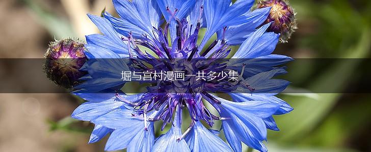 堀与宫村漫画一共多少集,第1张
