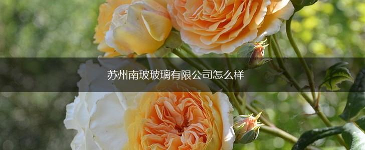 苏州南玻玻璃有限公司怎么样,第1张