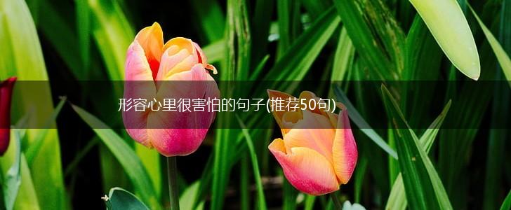 形容心里很害怕的句子(推荐50句),第1张